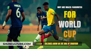 Brazil's World Cup Edge: Talent, Tactics, and Tournament Legacy