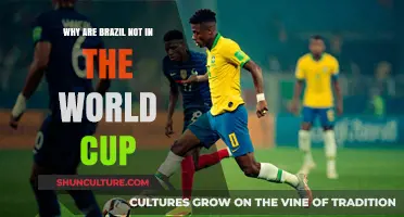 Brazil's World Cup Absence: Unraveling the Shocking 2022 Exclusion