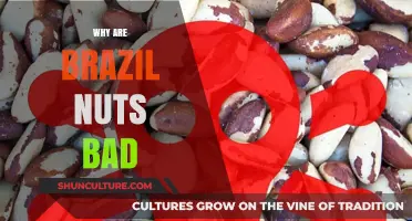 Brazil Nuts: Hidden Health Risks and Why Moderation is Key