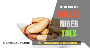 Brazil Nuts' Surprising Name Origin: Unraveling the 'Niger Toes' Mystery