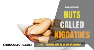 Brazil Nuts' Surprising Name Origin: Unraveling the 'Niggatoes' Mystery