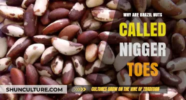 The Controversial History Behind the Name 'Brazil Nuts' Explained