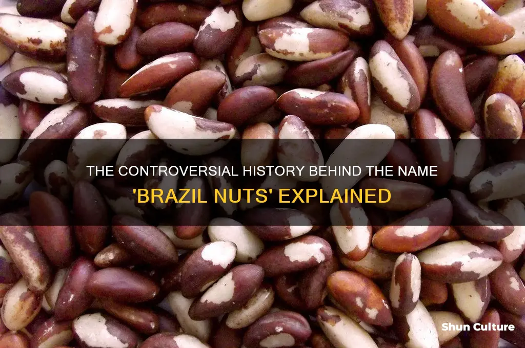 why are brazil nuts called nigger toes
