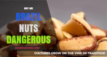 Brazil Nuts: Hidden Dangers and Risks You Need to Know