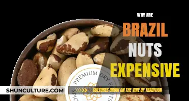 Why Brazil Nuts Are So Expensive: Uncovering the Hidden Costs