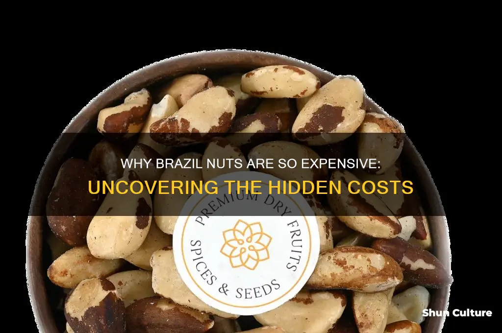 why are brazil nuts expensive