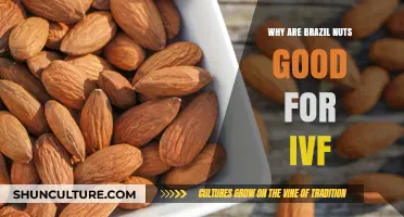 Boosting IVF Success: The Surprising Benefits of Brazil Nuts