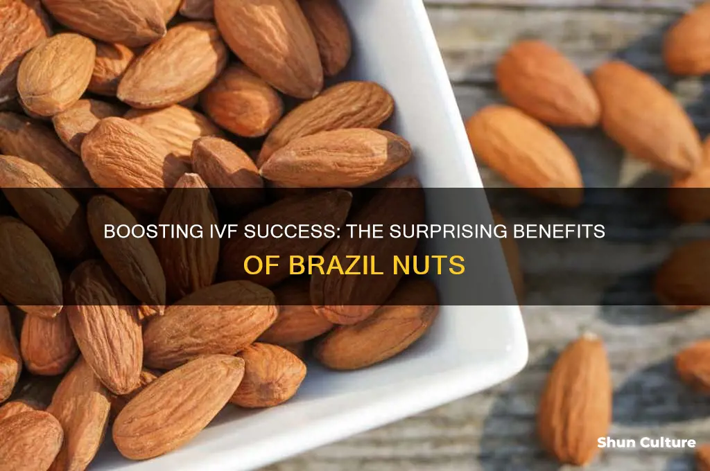 why are brazil nuts good for ivf