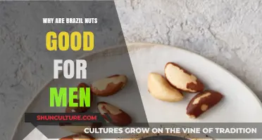 Brazil Nuts: Essential Benefits for Men's Health and Vitality