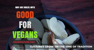 Brazil Nuts: A Vegan Superfood for Essential Nutrients and Health