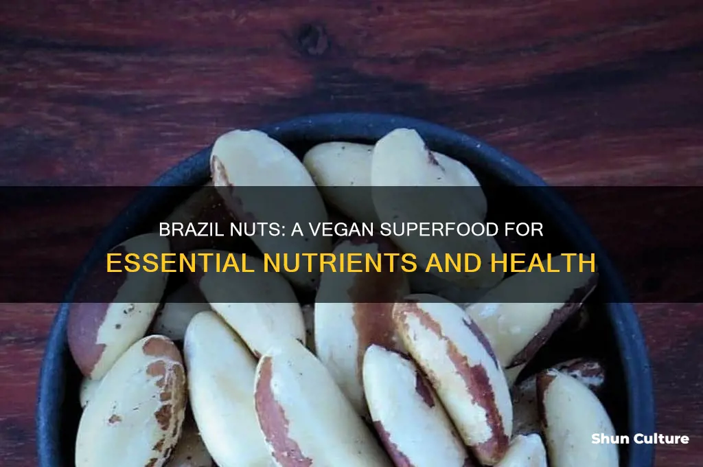 why are brazil nuts good for vegans