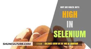 Brazil Nuts: Unlocking the Secret Behind Their High Selenium Content