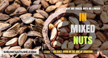 The Disappearance of Brazil Nuts from Mixed Nut Blends Explained