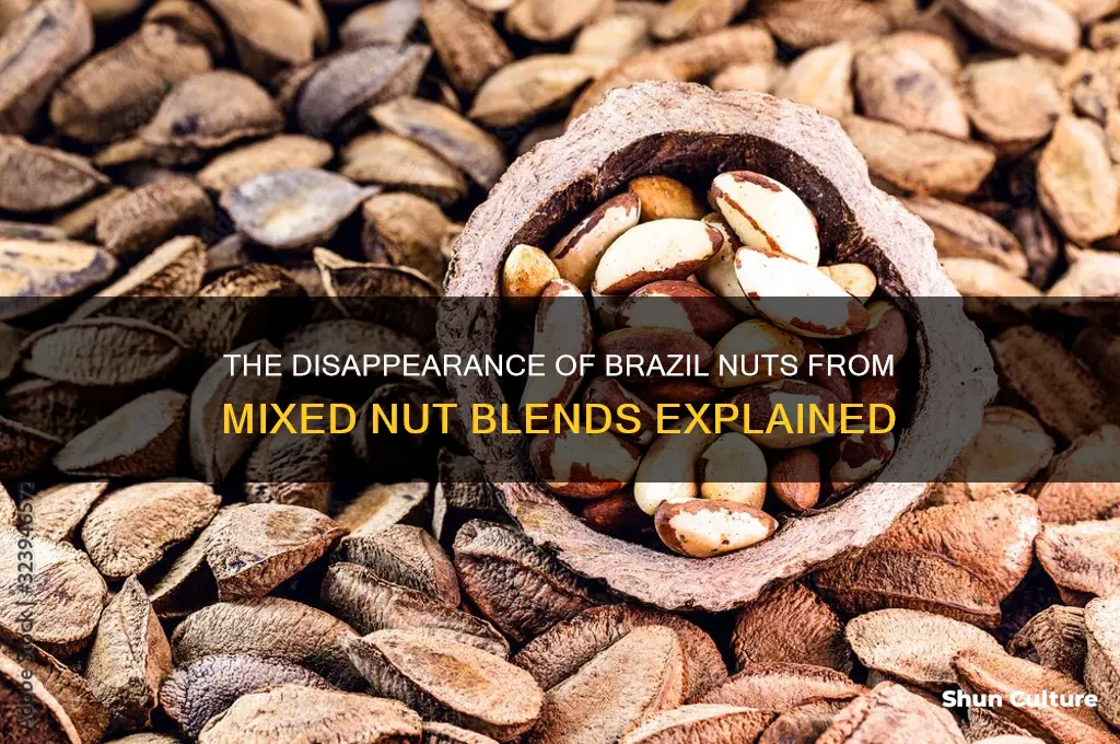 why are brazil nuts no longer in mixed nuts