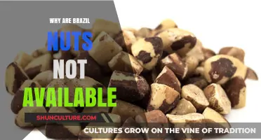 The Surprising Scarcity of Brazil Nuts: Uncovering the Unavailability Mystery