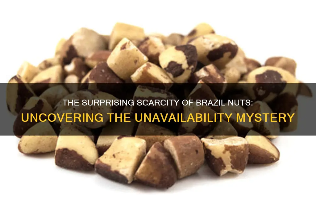 why are brazil nuts not available