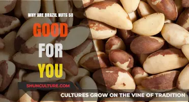 Brazil Nuts: Unlocking Nutrient Powerhouses for Optimal Health Benefits
