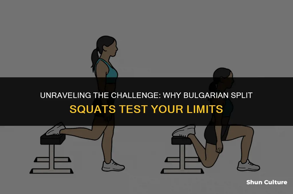 why are bulgarian split squats so hard