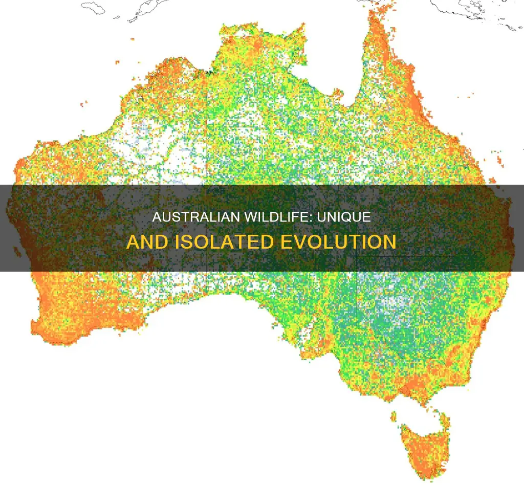 why are certain plants and animals only found in australia