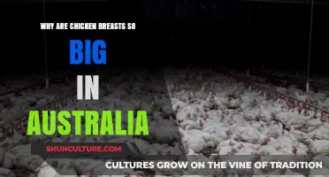 Chicken Breasts: Australia's Supersized Surprise