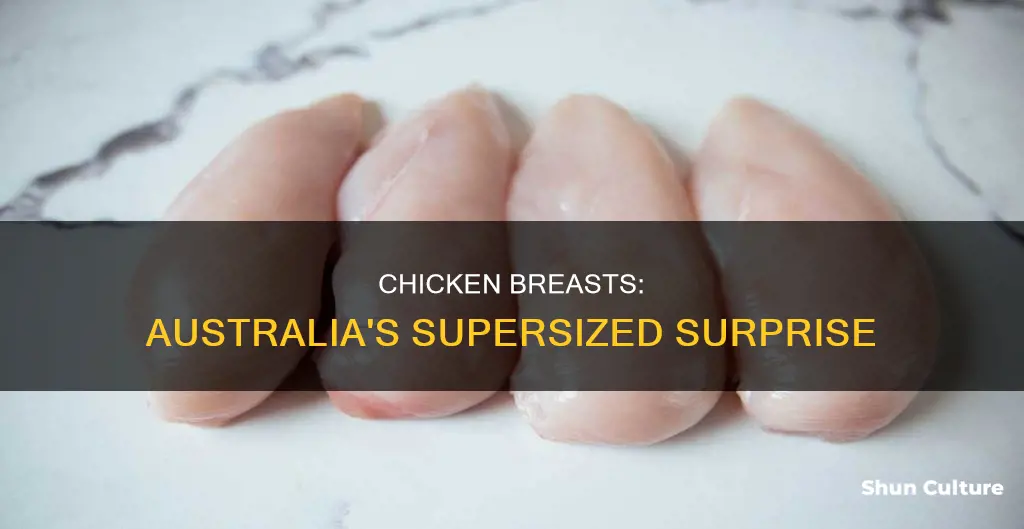 why are chicken breasts so big in australia