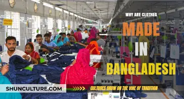 Why Bangladesh Dominates Global Clothing Manufacturing: Key Factors Explained