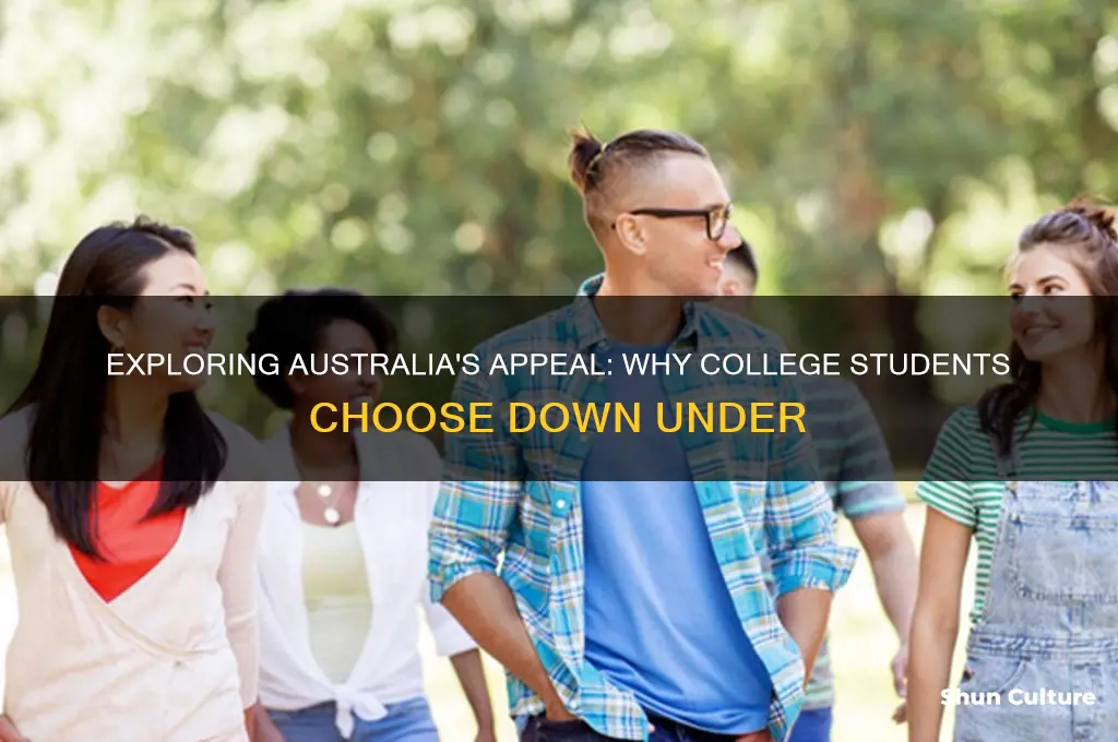 why are college students going to australia