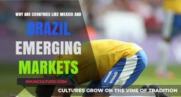 Emerging Giants: Mexico and Brazil's Rise in Global Markets