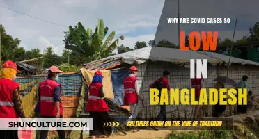 Unraveling Bangladesh's COVID-19 Mystery: Low Cases, High Resilience