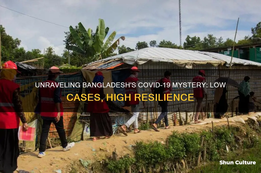 why are covid cases so low in bangladesh