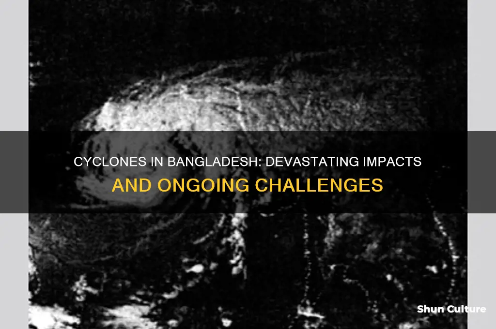 why are cyclones a problem in bangladesh