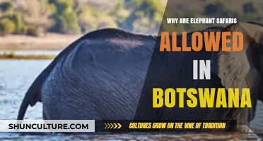 Exploring Botswana's Elephant Safaris: Conservation, Tourism, and Ethical Considerations