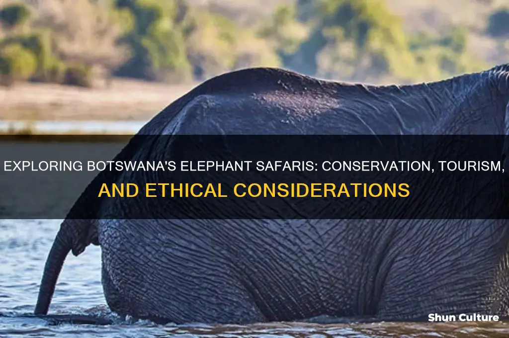 why are elephant safaris allowed in botswana