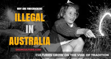 Firecrackers Banned: Australia's Safety-First Approach