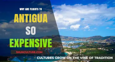 Why Are Flights to Antigua So Expensive? Exploring the Costs