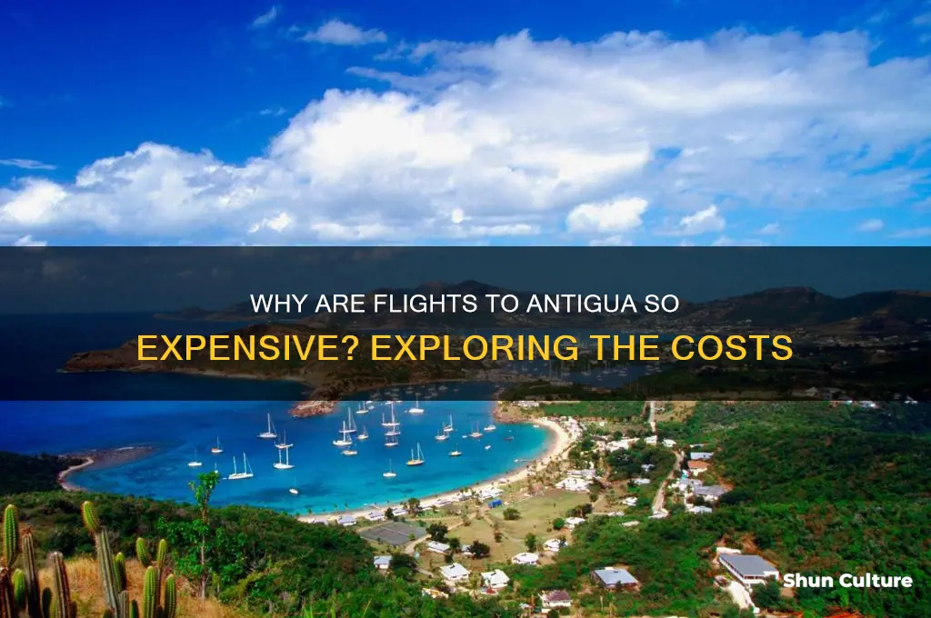 why are flights to antigua so expensive