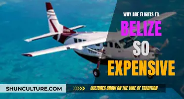 Belize Flights: Why the High Cost of Travel?