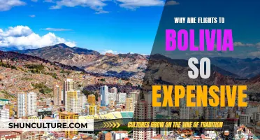 Bolivia Flights: Expensive Travel, Reasons Explained