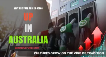 Rising Fuel Prices in Australia: Causes and Impact Explained