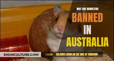 Hamsters: Australia's Unwanted Rodents