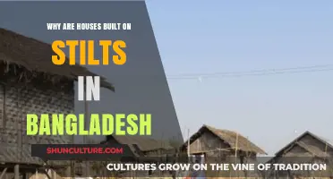 Why Bangladesh Builds Houses on Stilts: Adapting to Flood-Prone Lands