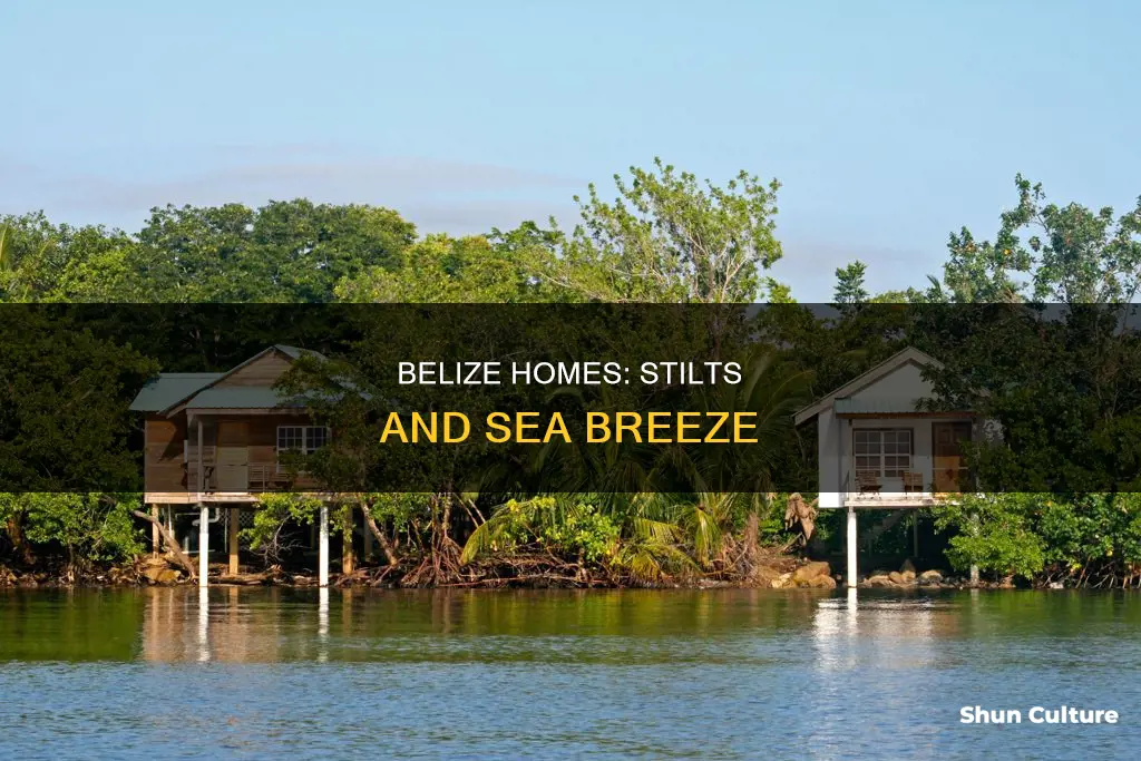 why are houses in belize built on stilts