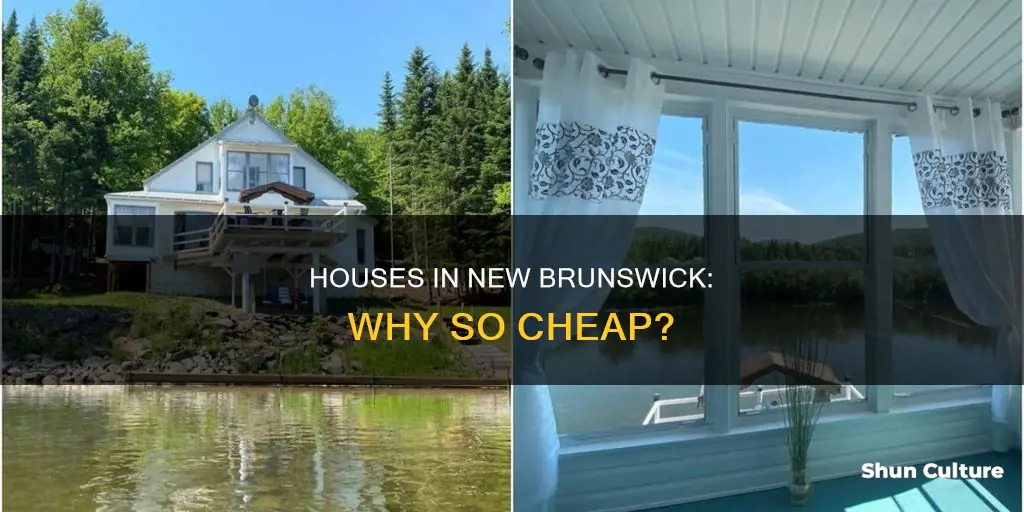 why are houses so cheap in new brunswick