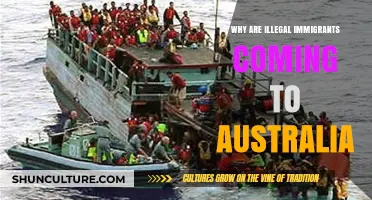 Australia's Appeal: Why Illegal Immigrants Risk It All