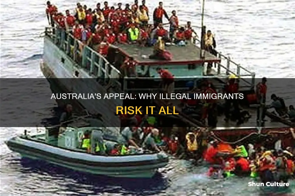 why are illegal immigrants coming to australia