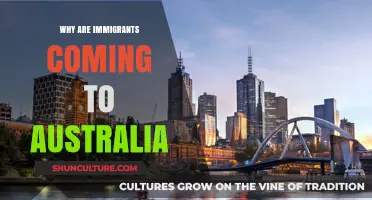 Exploring Australia's Appeal to Immigrants