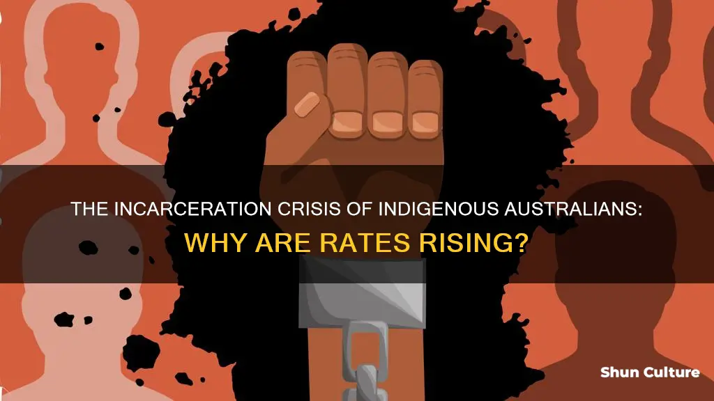 why are indigenous australian imprisonment rates increasing