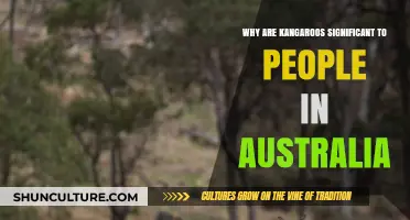 The Cultural Significance of Kangaroos in Australia
