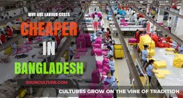 Understanding Bangladesh's Low Labour Costs: Economic Factors and Global Impact