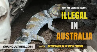 Leopard Geckos: Banned in Australia — Why?